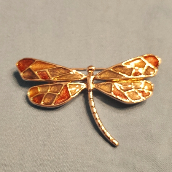 Jewelry - Stone wing dragonfly brooch